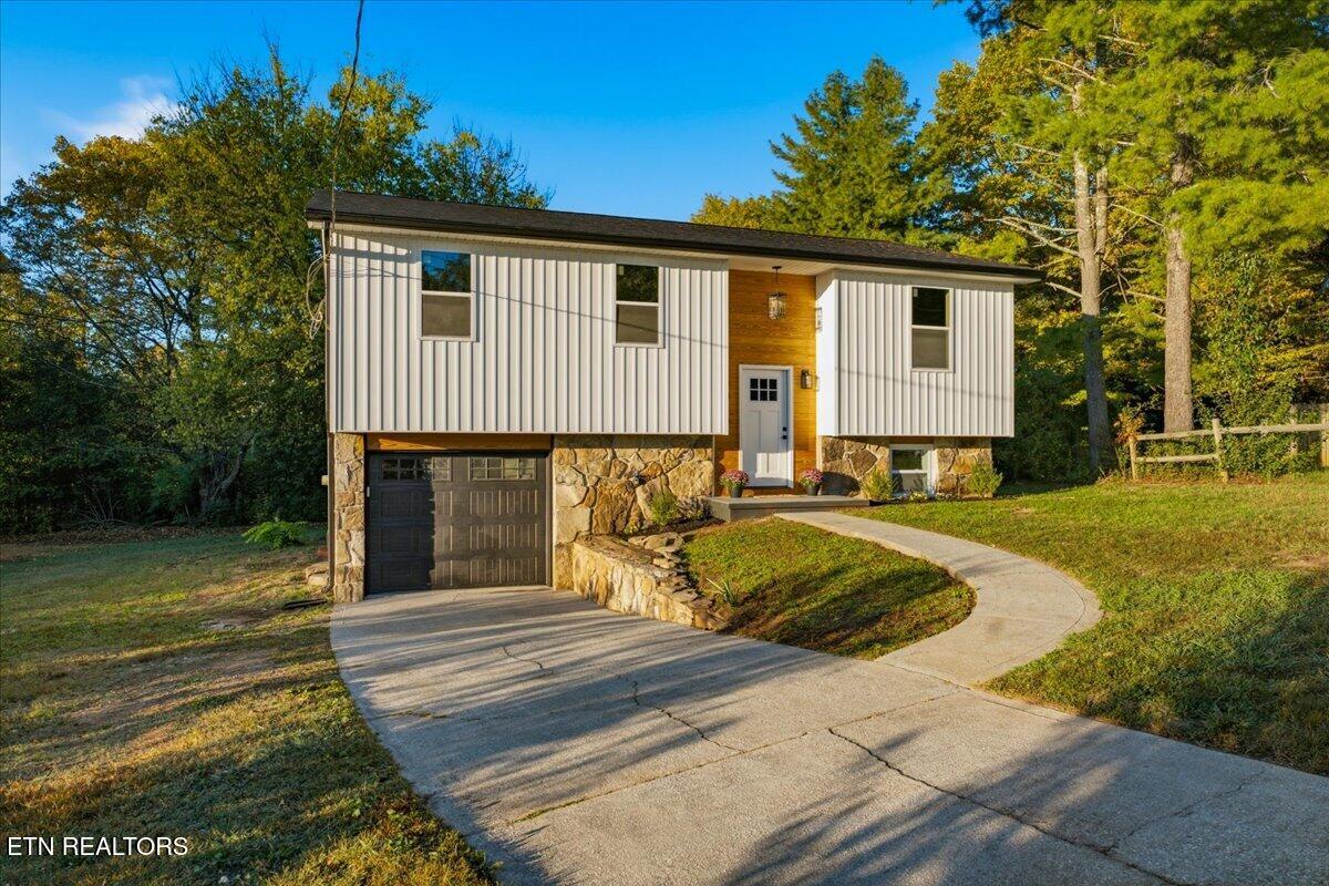 10016 Branchview Drive — photo