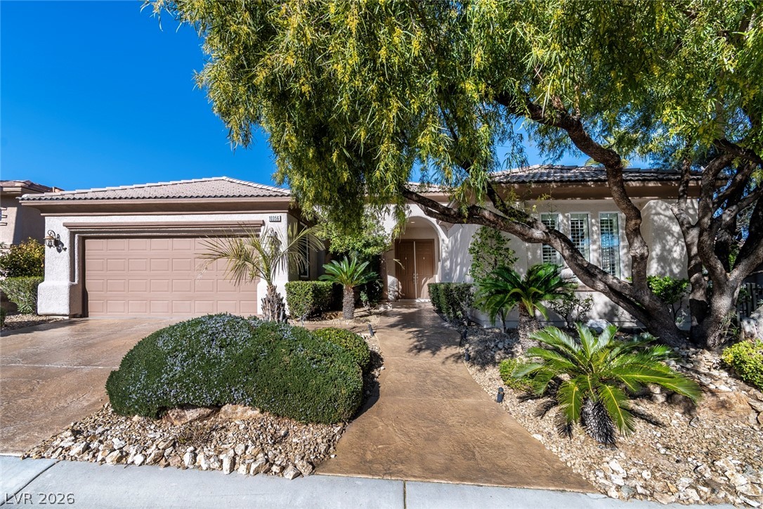 10356 Luna Magico Avenue — photo