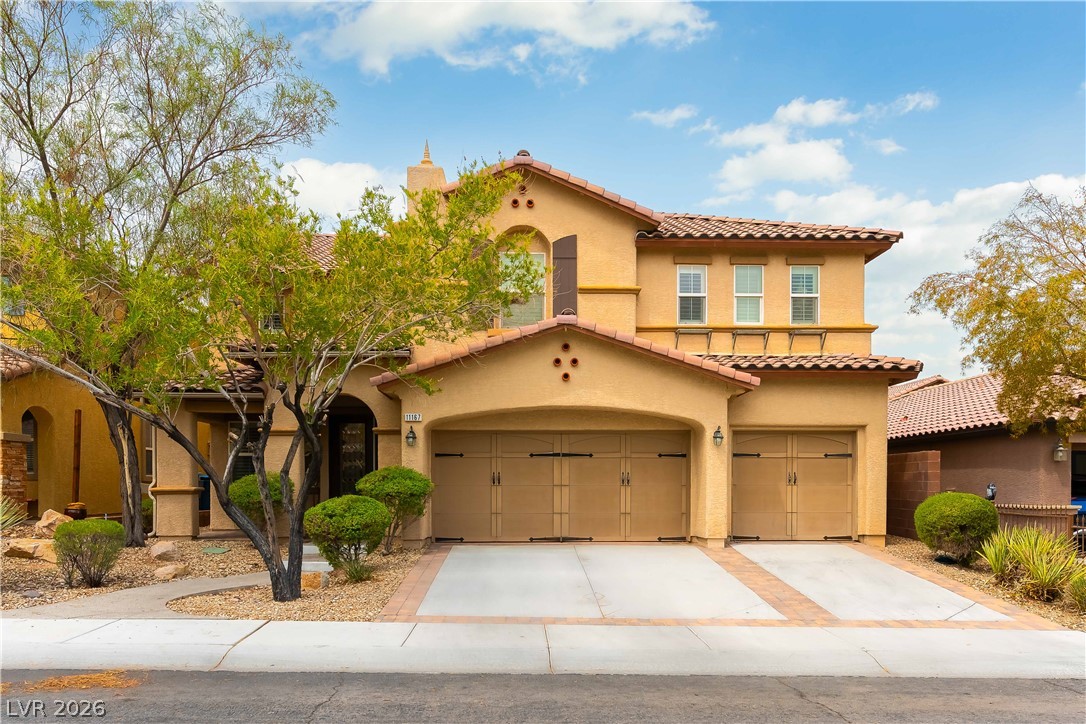 11167 Ash Mountain Street — photo