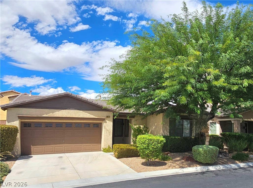 10571 Aloe Springs Street — photo