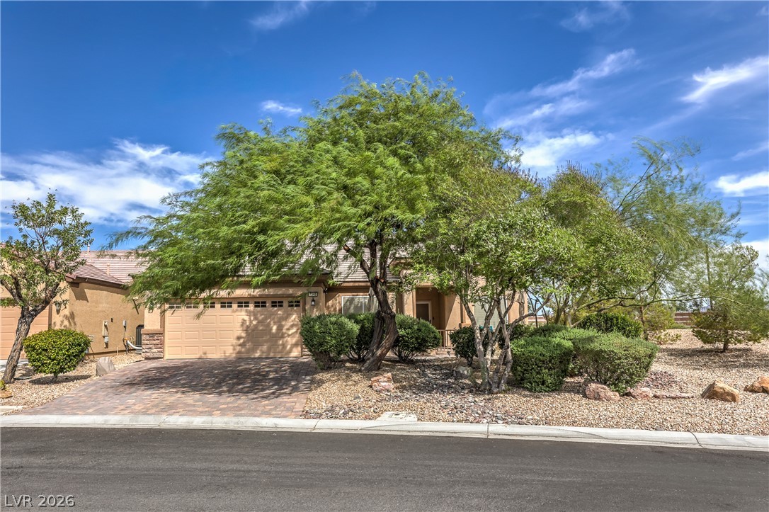 7340 Petrel Street — photo