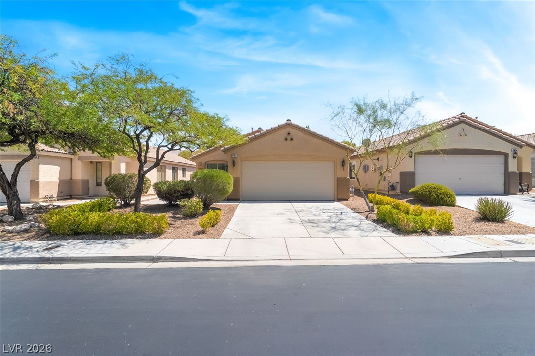 6866 Broadacres Ranch Street — photo