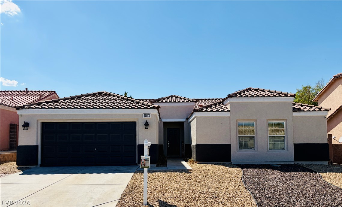 1013 Black Olive — photo