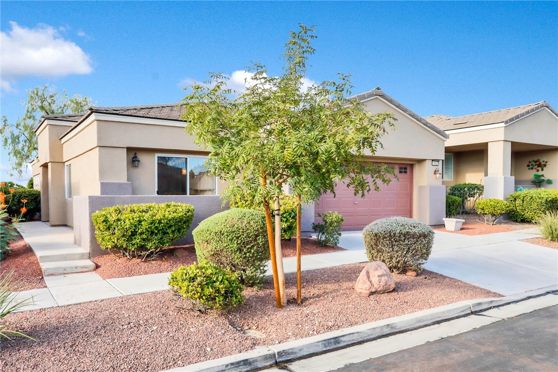 10529 India Hawthorn Avenue — photo