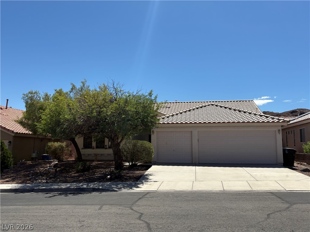 87 Rattlesnake Grass Court — photo