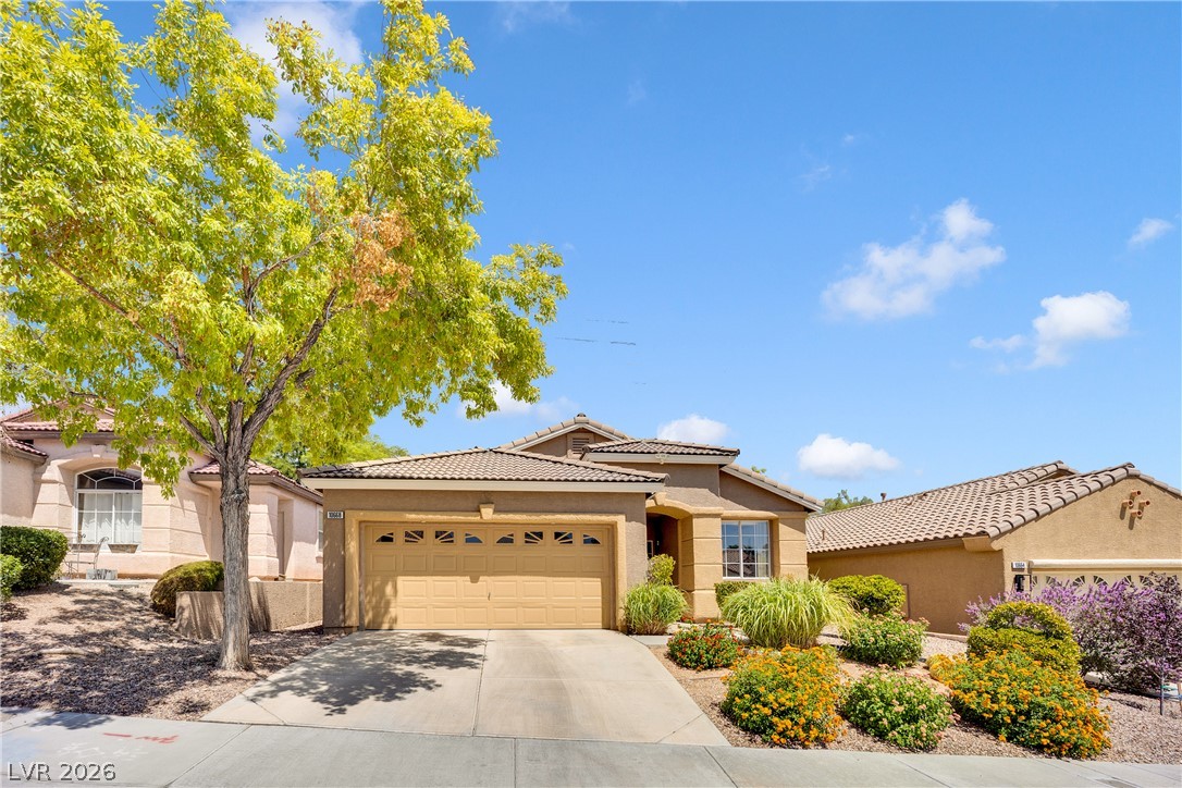 10668 Windrose Point Avenue — photo