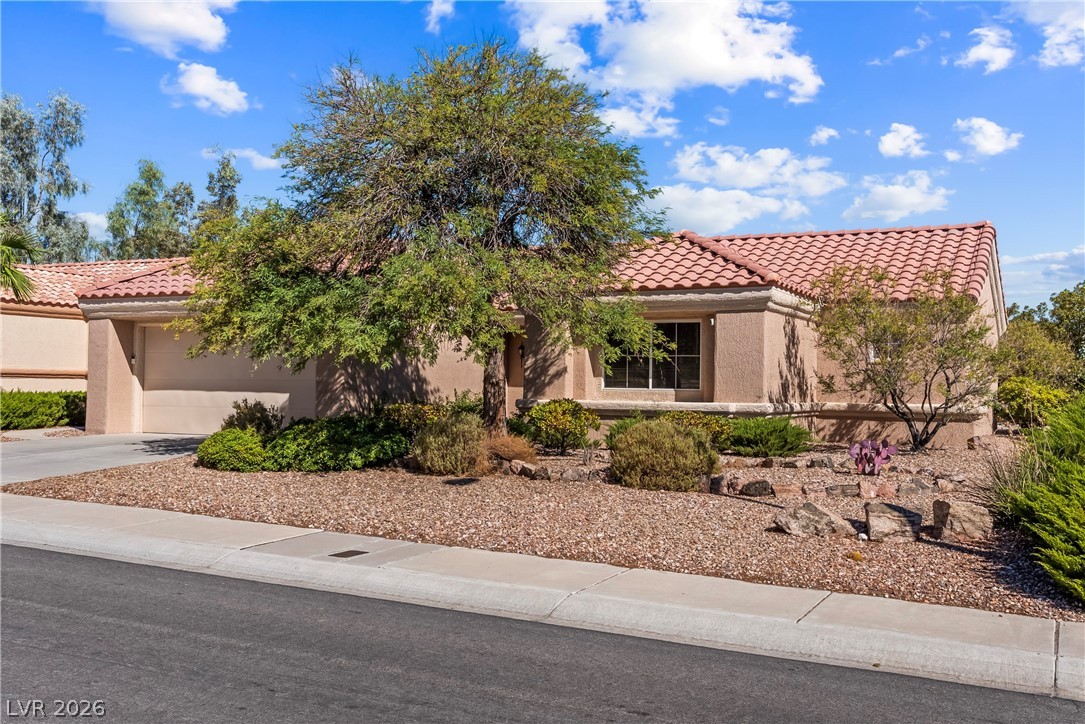 9408 Yucca Blossom Drive — photo