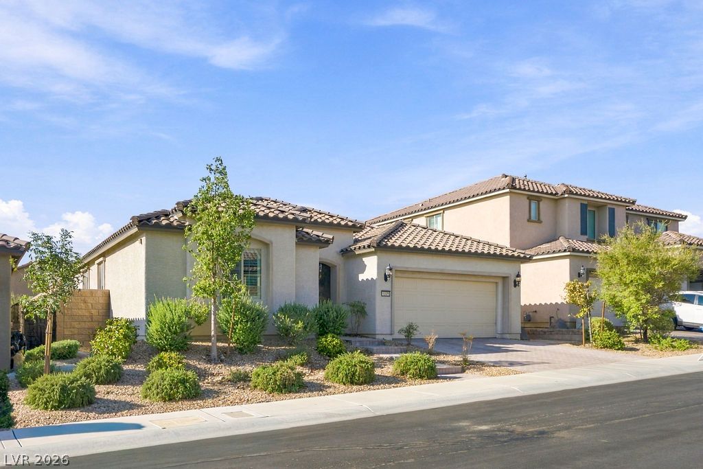 9945 Bristlecone Skye Avenue — photo