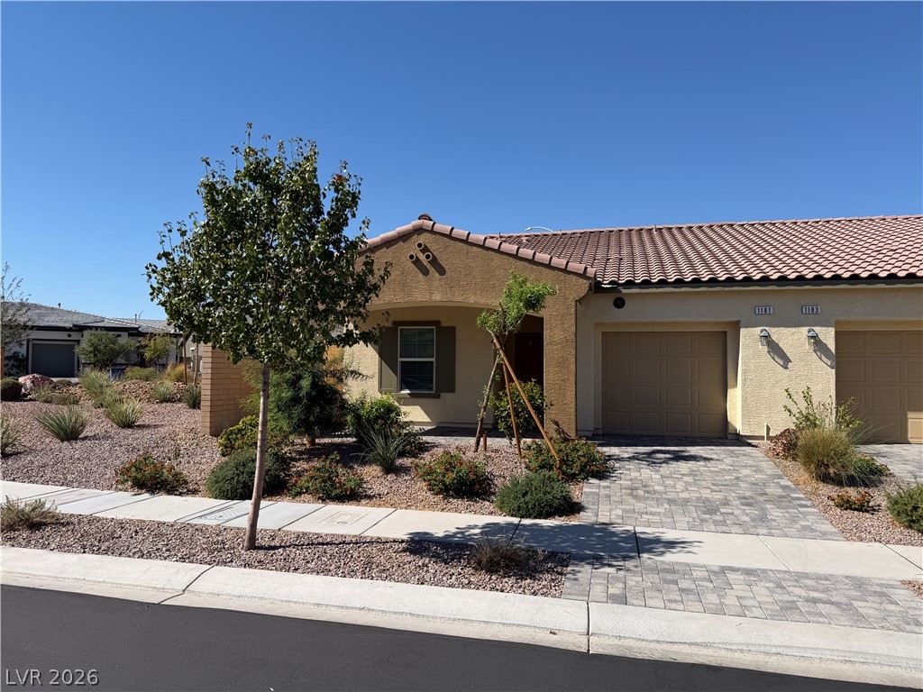 1181 Desert Lark Street — photo