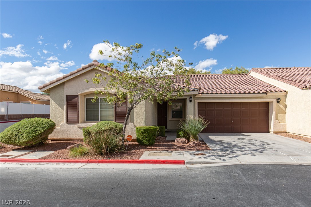 7977 Crownbeard Street — photo
