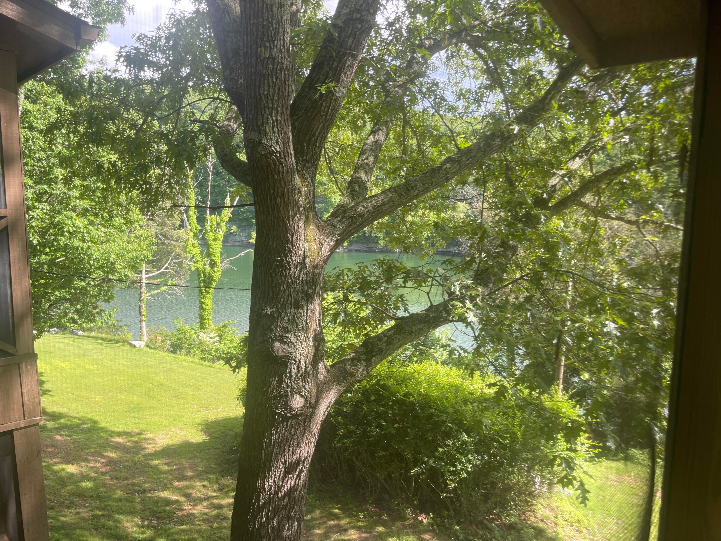 101-3 Woodson Bend Resort — photo
