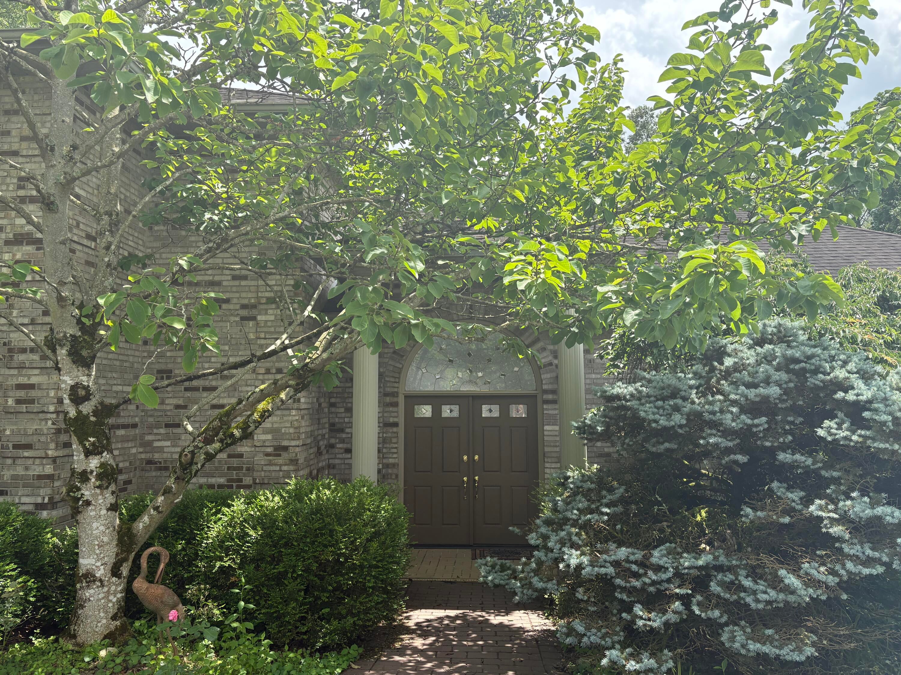 260 Beech Fork Boulevard — photo
