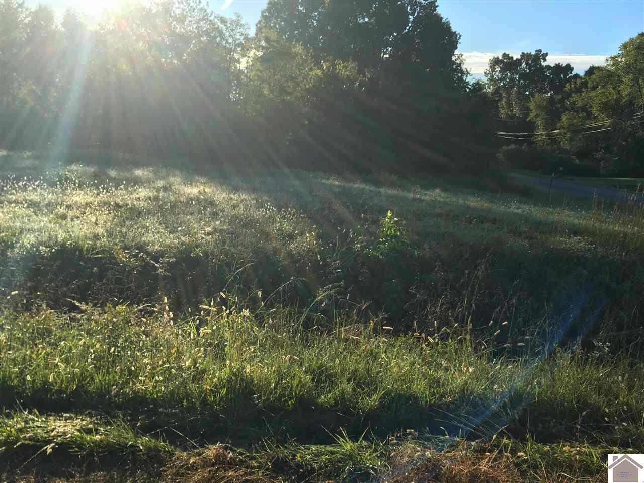5 Tract# Access Rd Road — photo
