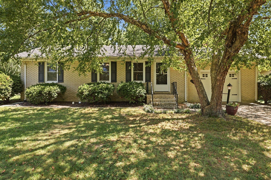 517 Shady Lane — photo