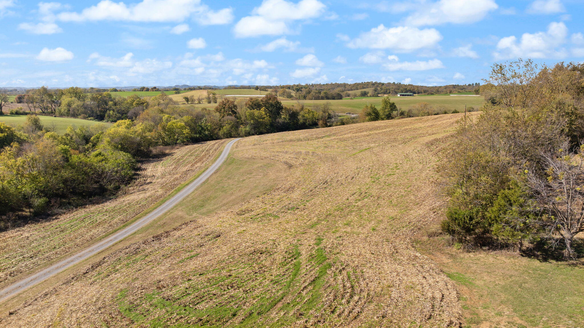 3885 State Highway 78 — photo