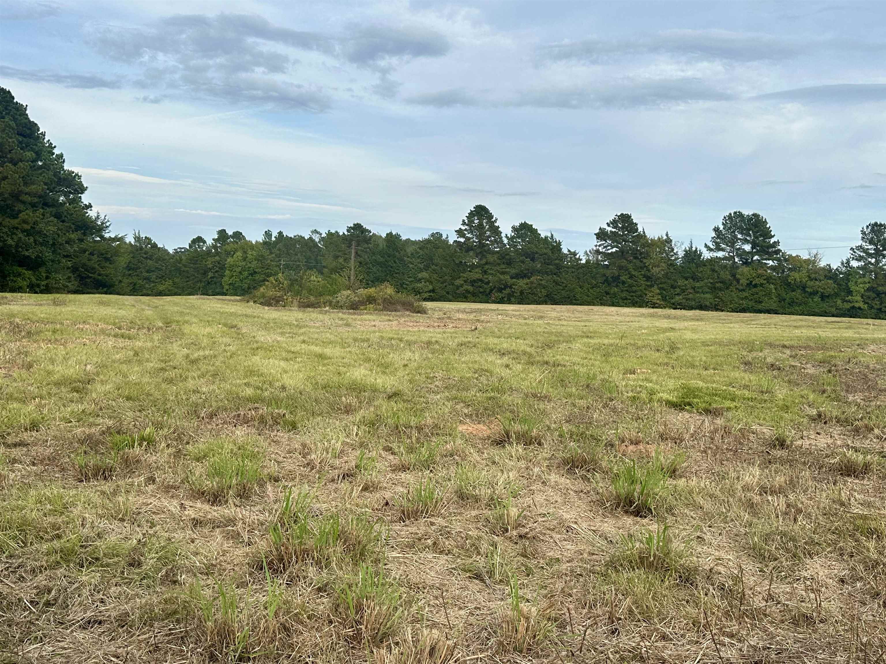 TBD SE Loop, Carthage, TX 75633 — photo 2