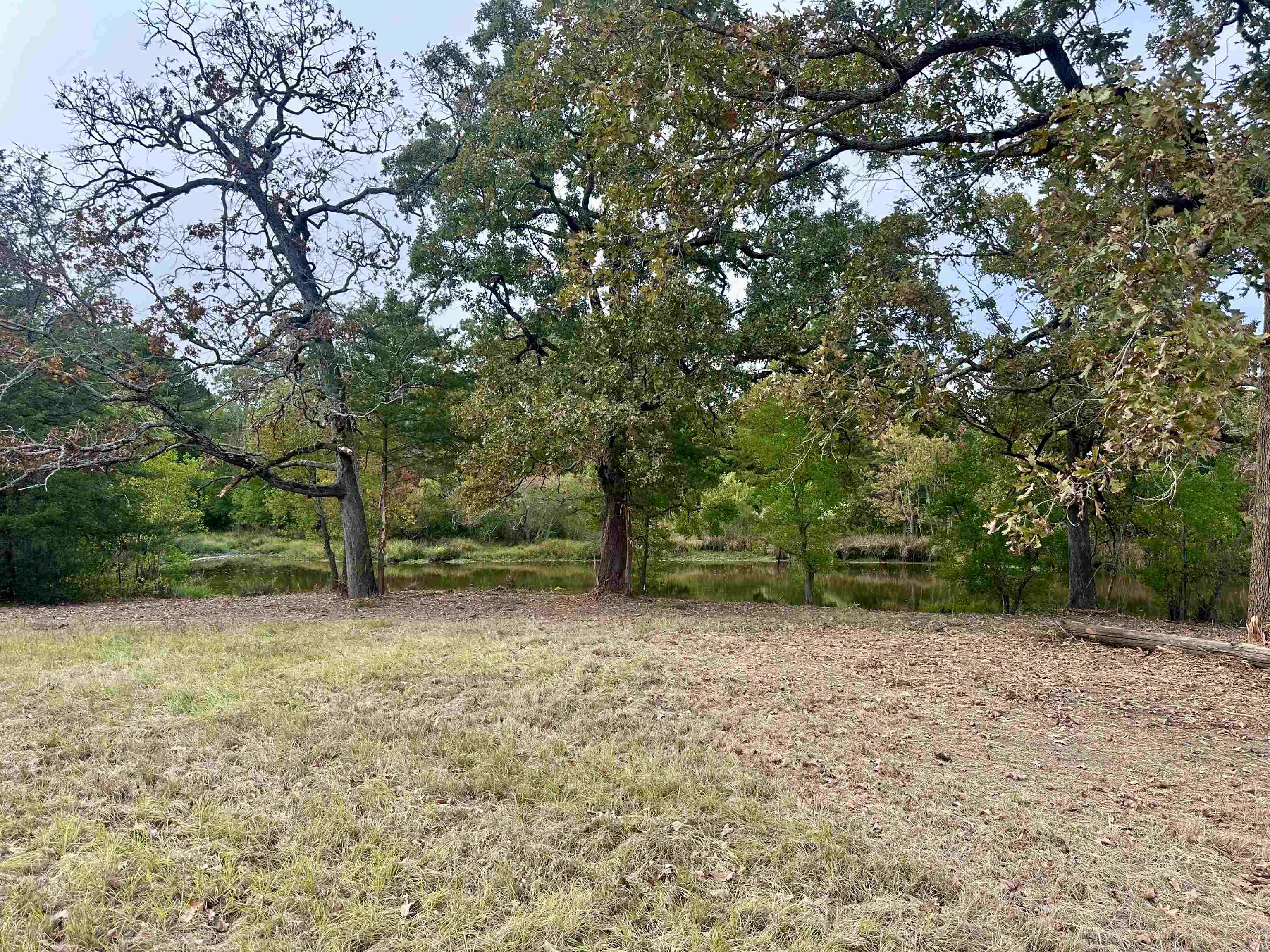 TBD SE Loop, Carthage, TX 75633 — photo 3