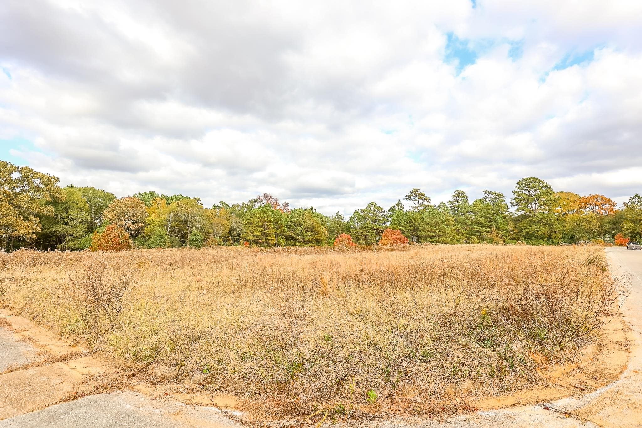 Lot B Zeid Blvd — photo