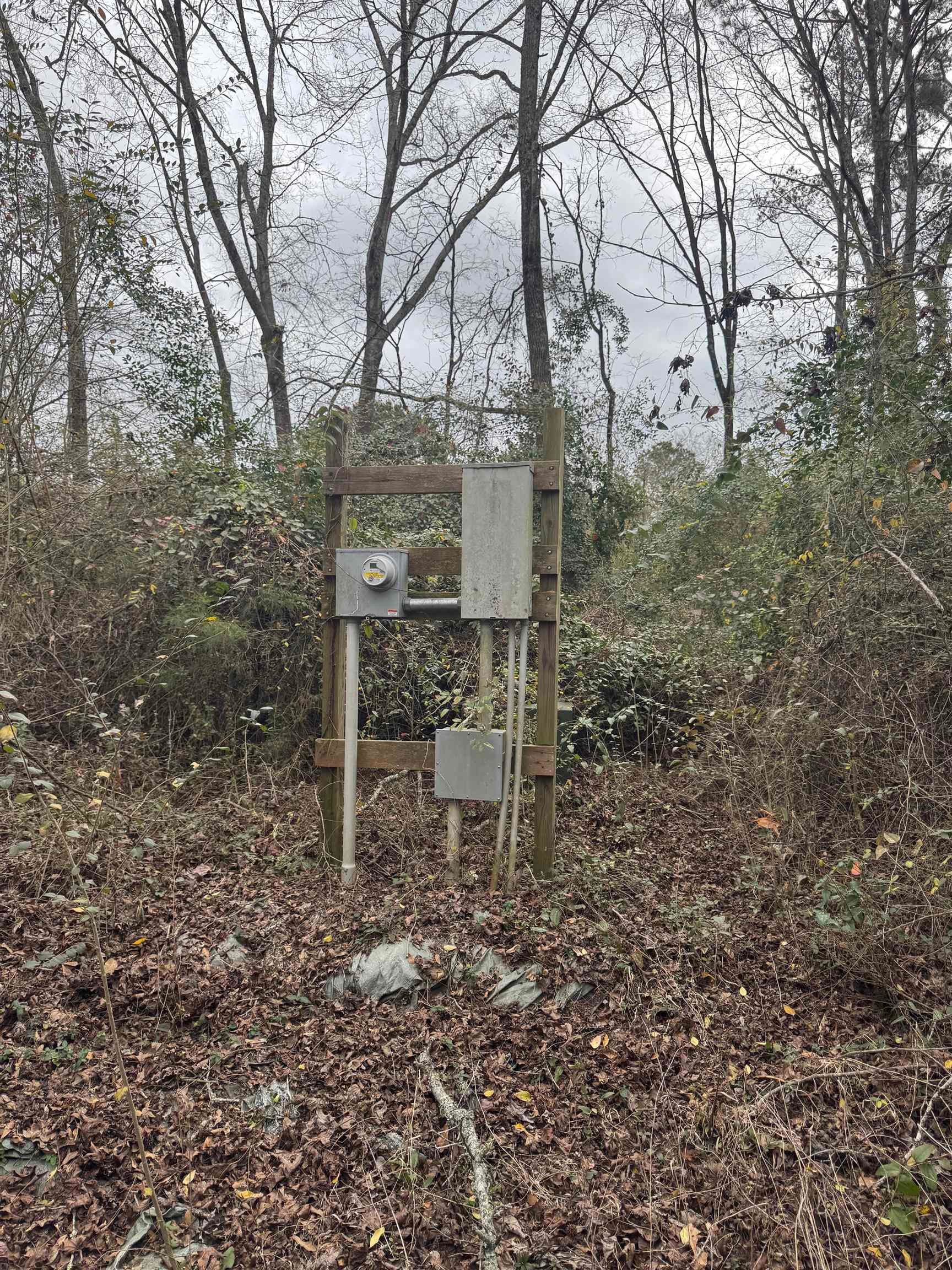 296 CR 4613 — photo