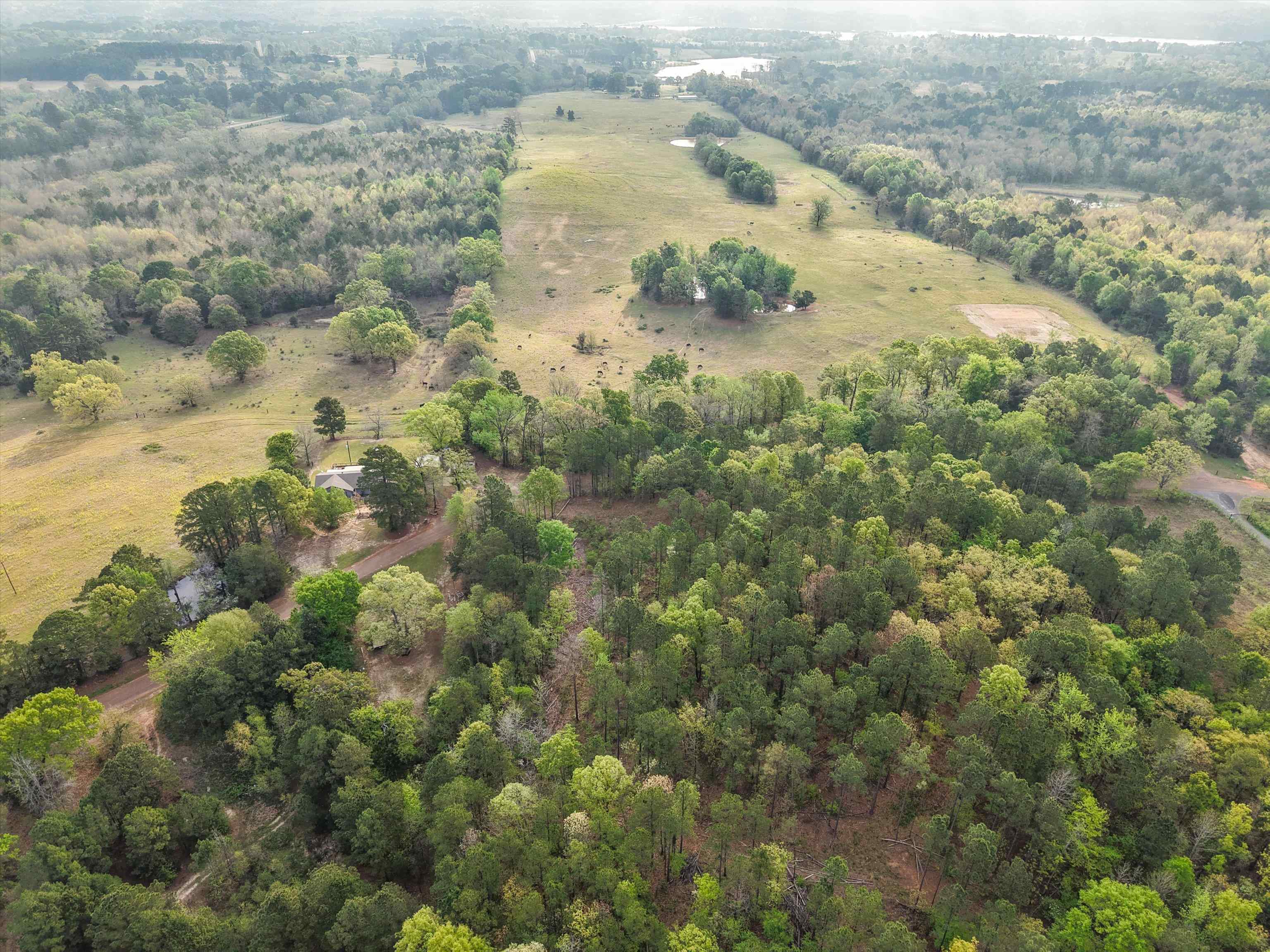 571 County Road 2215 — photo