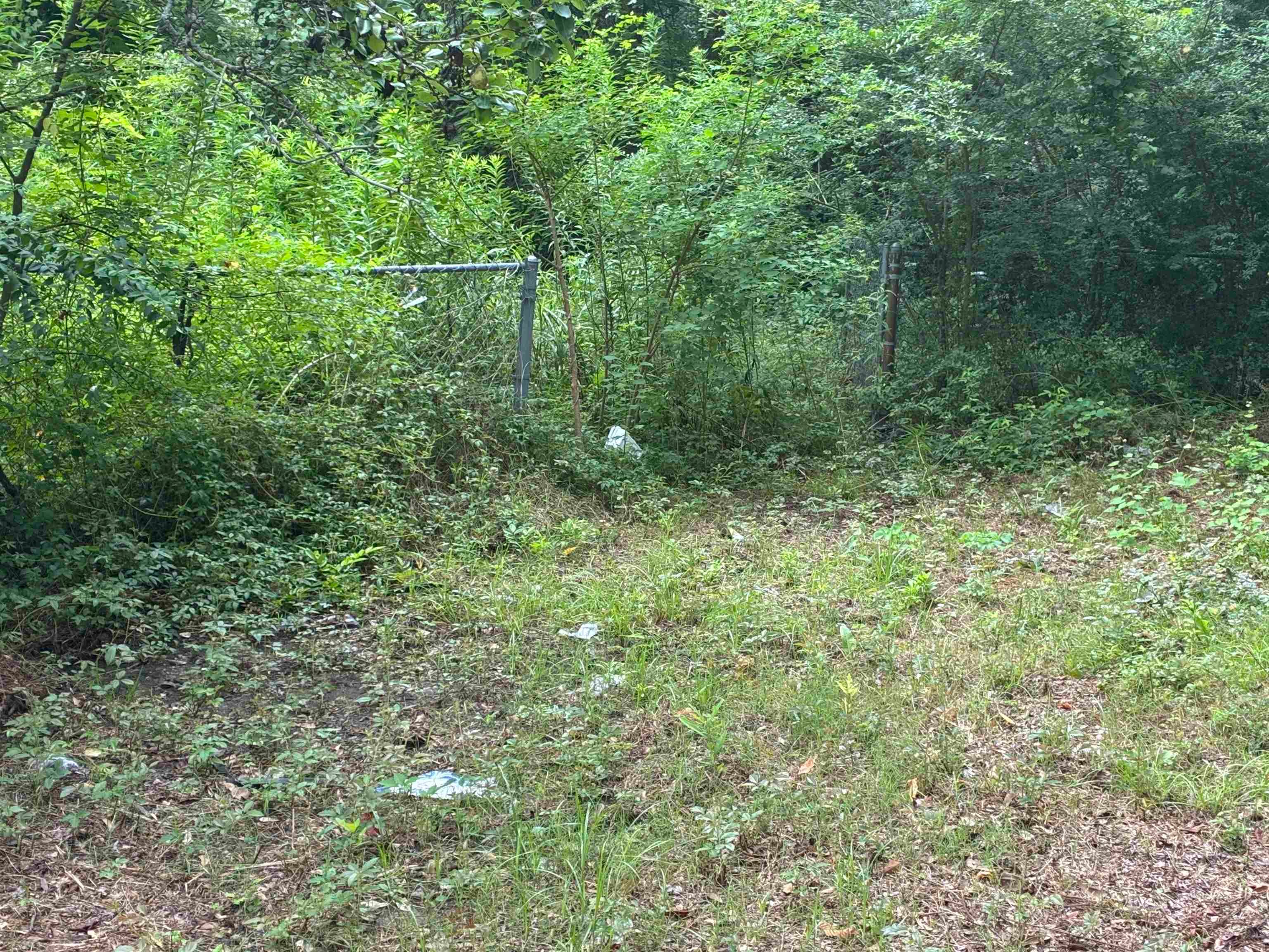 436 E Sabine St. — photo
