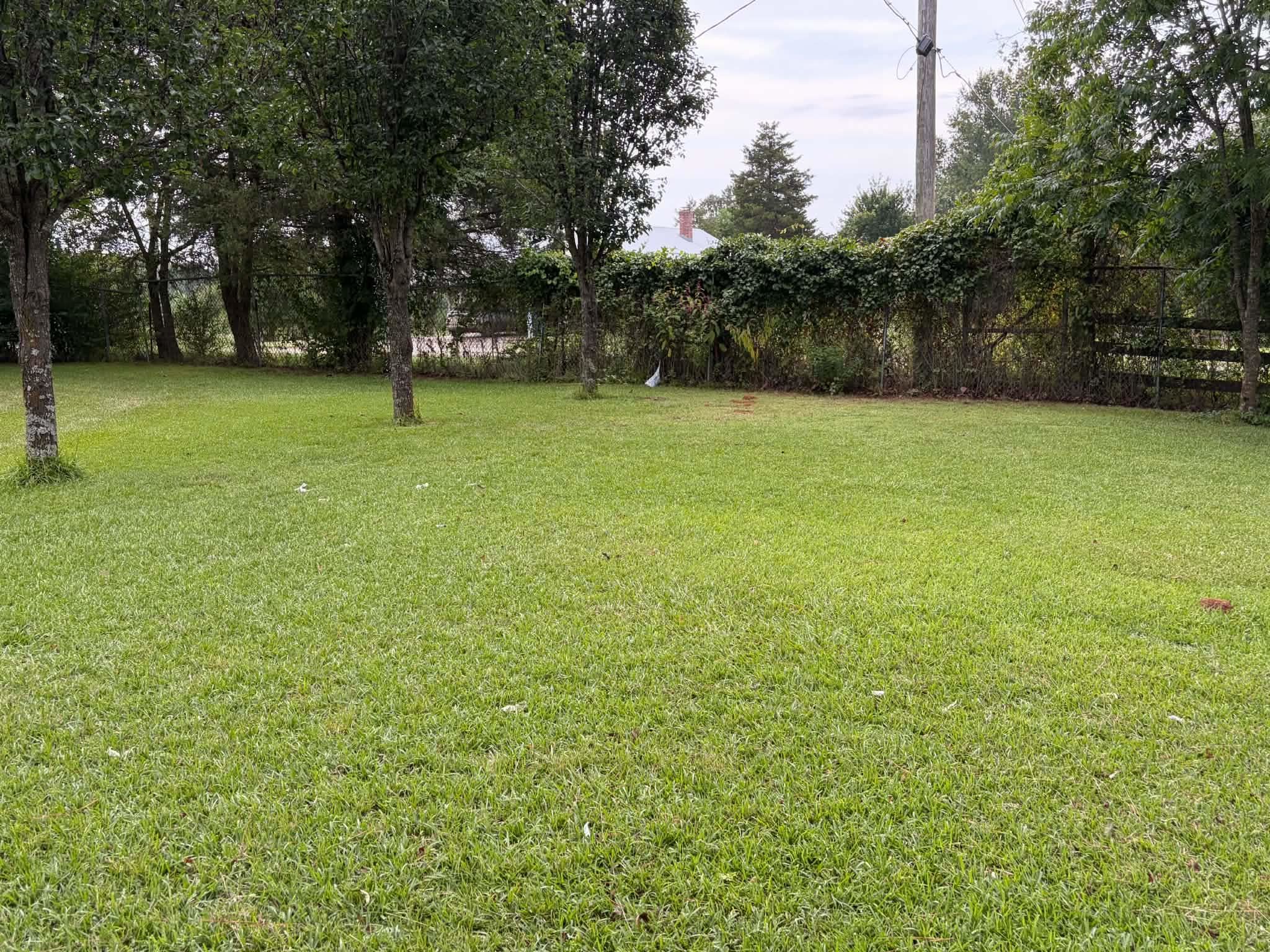 5707 Elysian Fields Road, Marshall, TX 75672 — photo 2