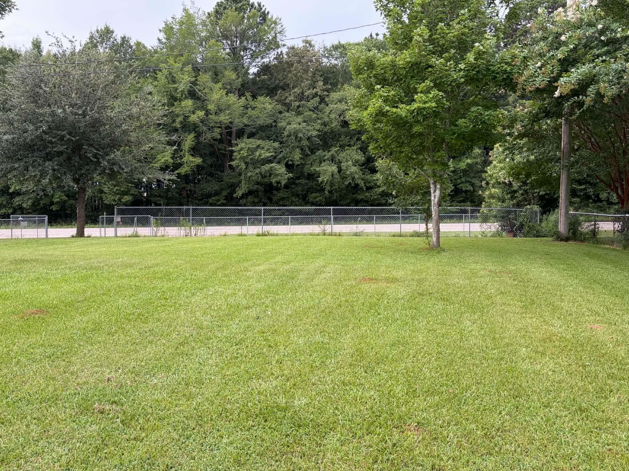 5707 Elysian Fields Road, Marshall, TX 75672 — photo 3