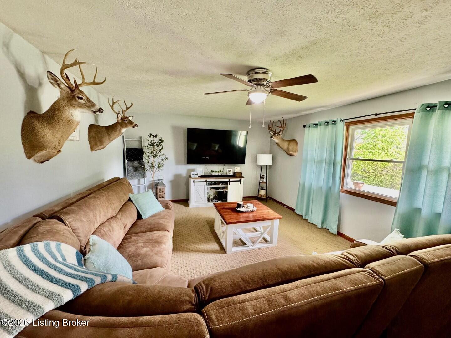 6030 Mackville Rd, Springfield, KY 40069 — photo 3