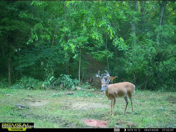 975 Long Run Rd — photo