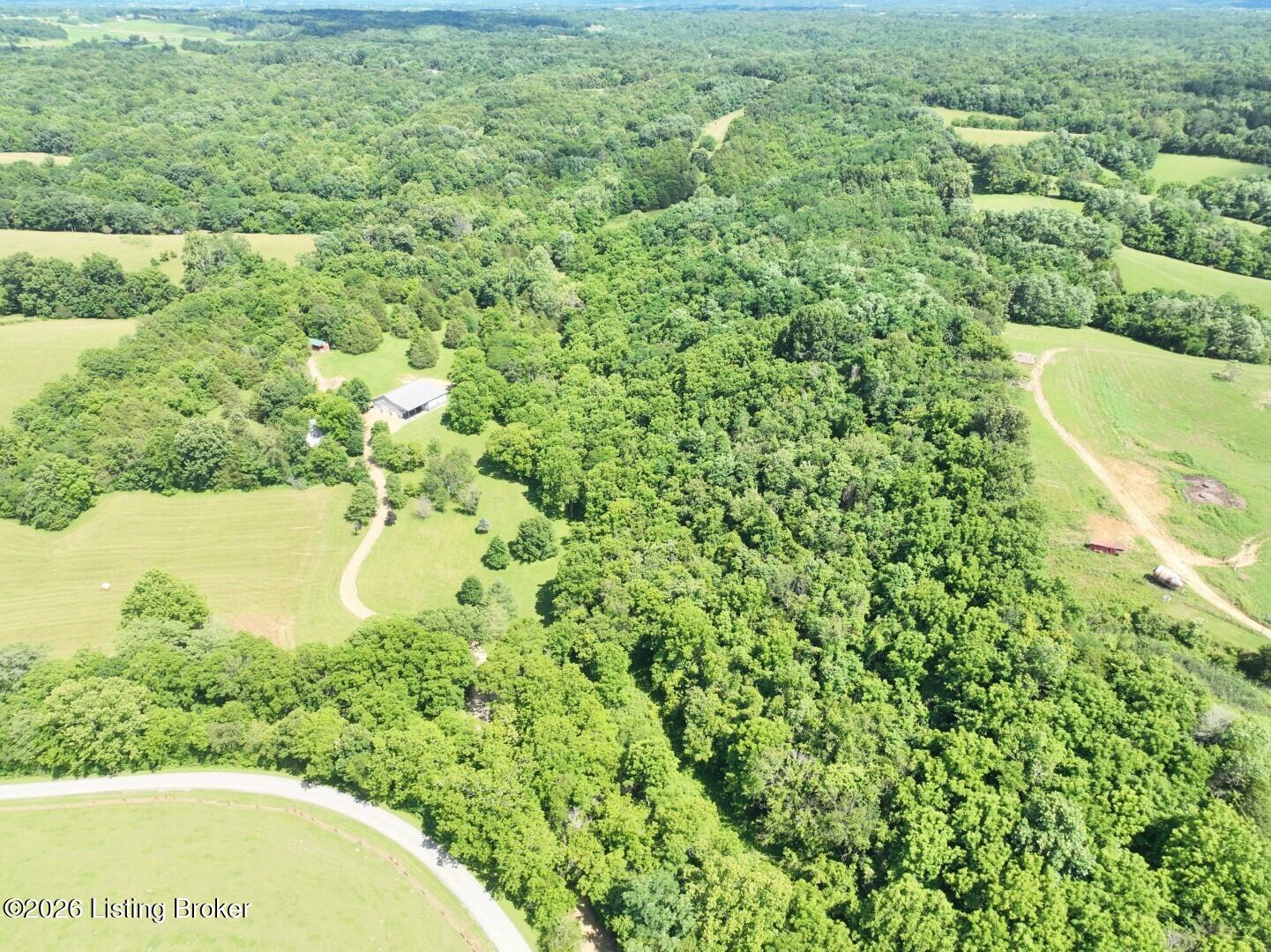 975 Long Run Rd, Springfield, KY 40069 — photo 3