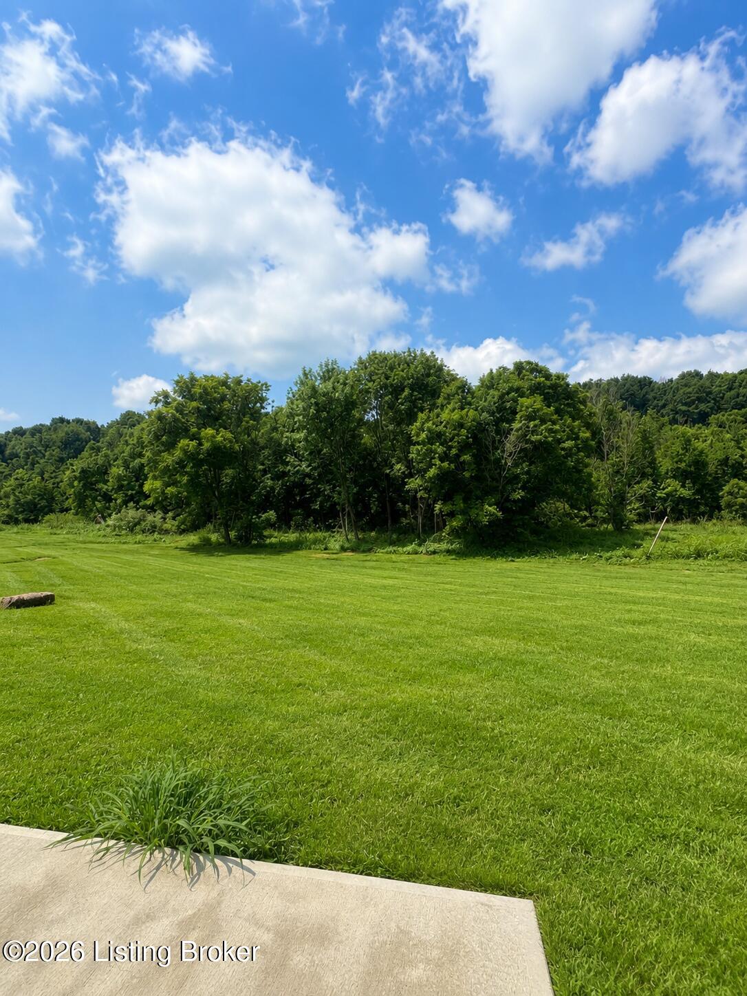 3545 Bloomfield Rd, Springfield, KY 40069 — photo 3