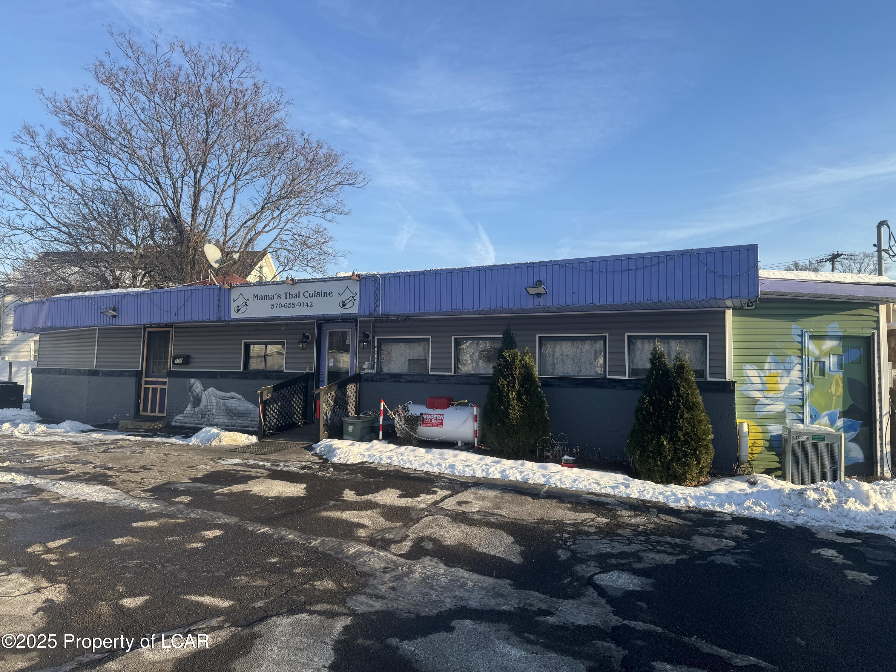 102 Pittston Avenue — photo