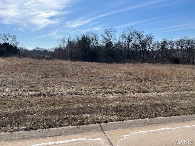 1.73 Acres Main Plaza Drive — photo