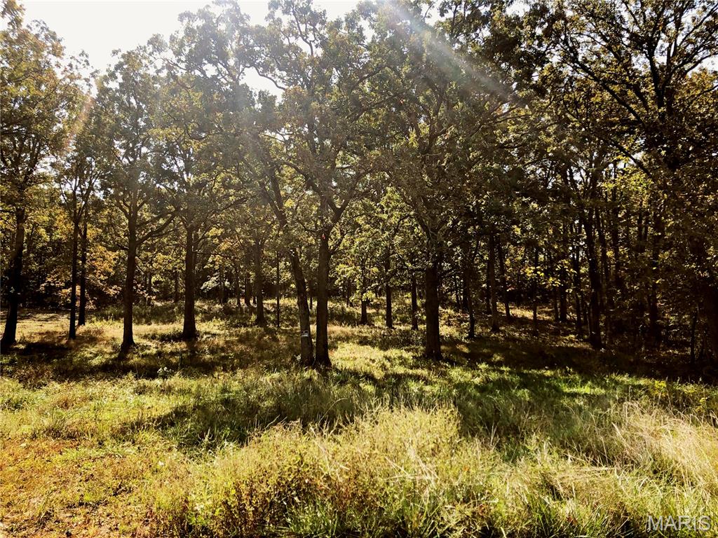 10240 County Road 3060 — photo