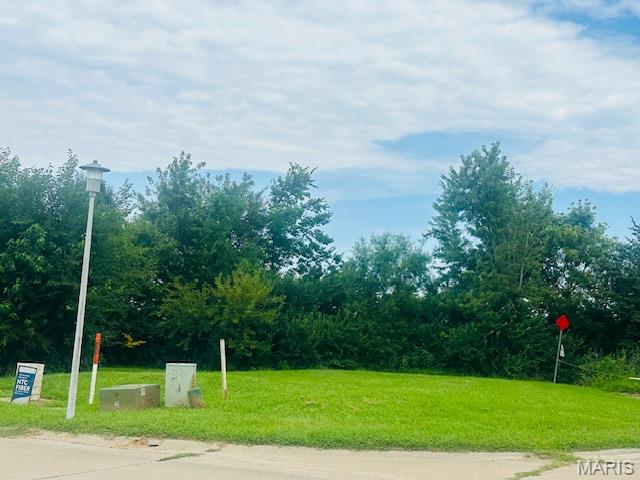 Lot 15 Columbia Ave — photo