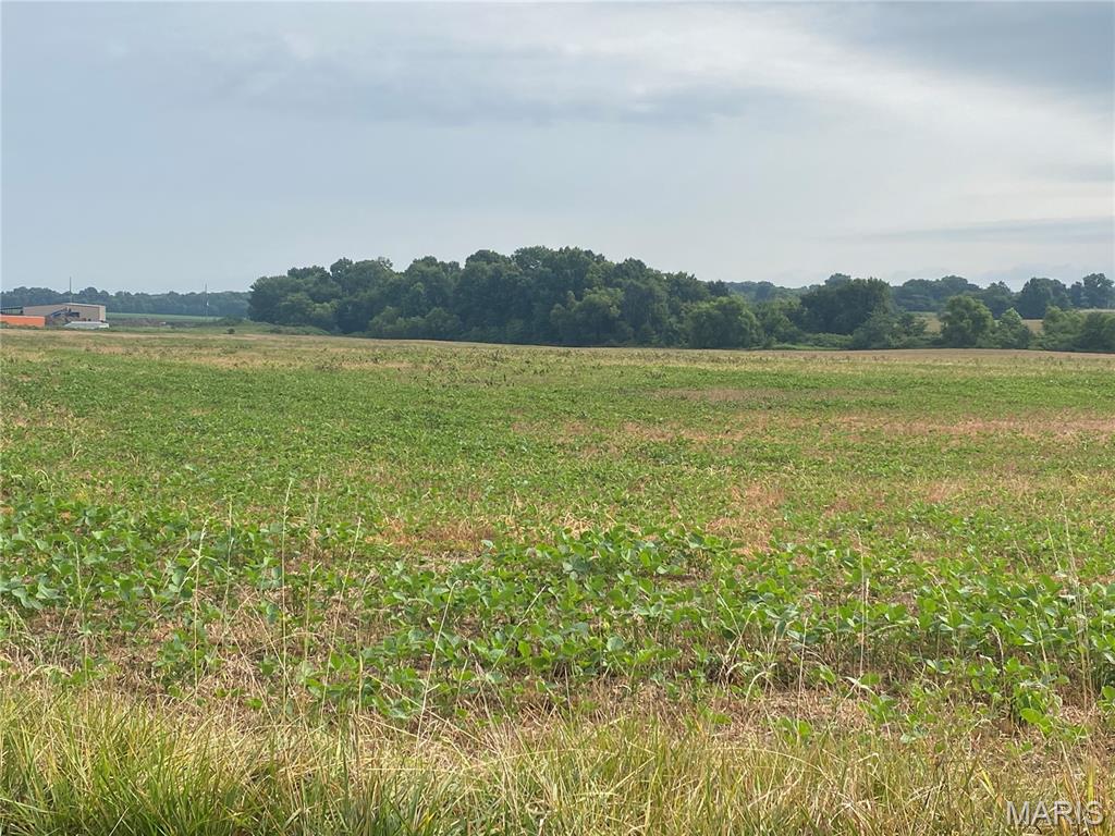 Home in Jonesburg, MO 63357 — photo 2