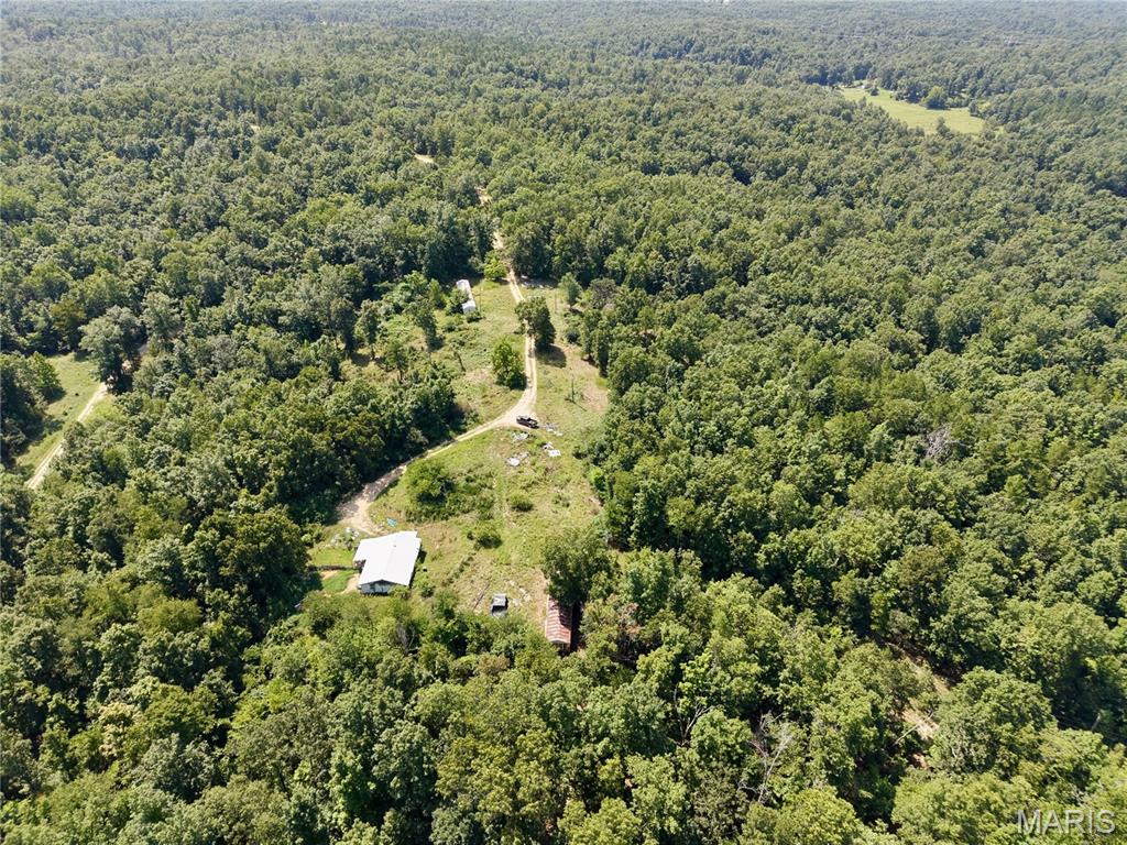 1333 County Road 565 — photo
