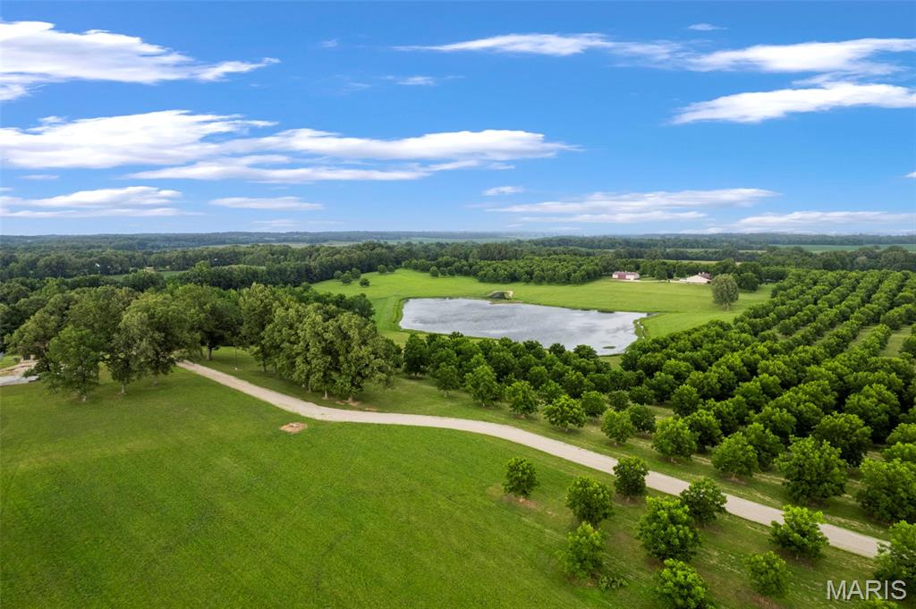 Home in Puxico, MO 63960 — photo 3