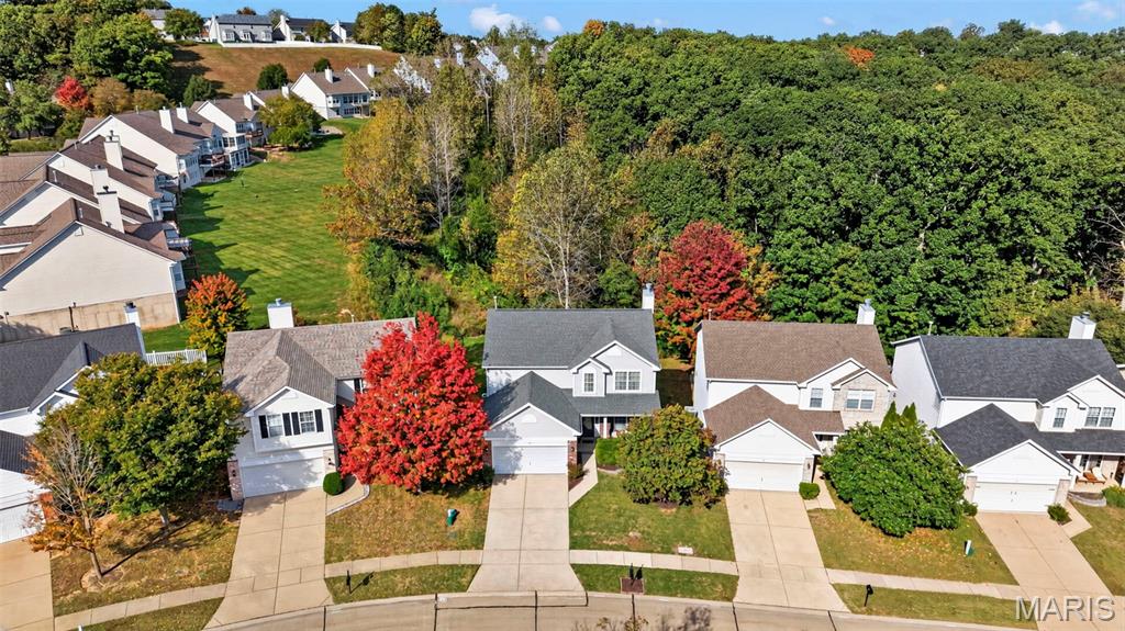 39 Upper Bluffs View Court, Eureka, MO 63025 — photo 3
