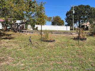 875 Rudolph Street, Bourbon, MO 65441 — photo 3