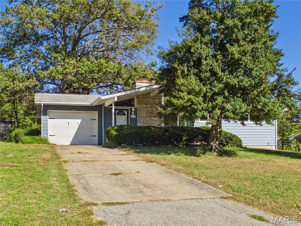 8 Camellia Drive — photo