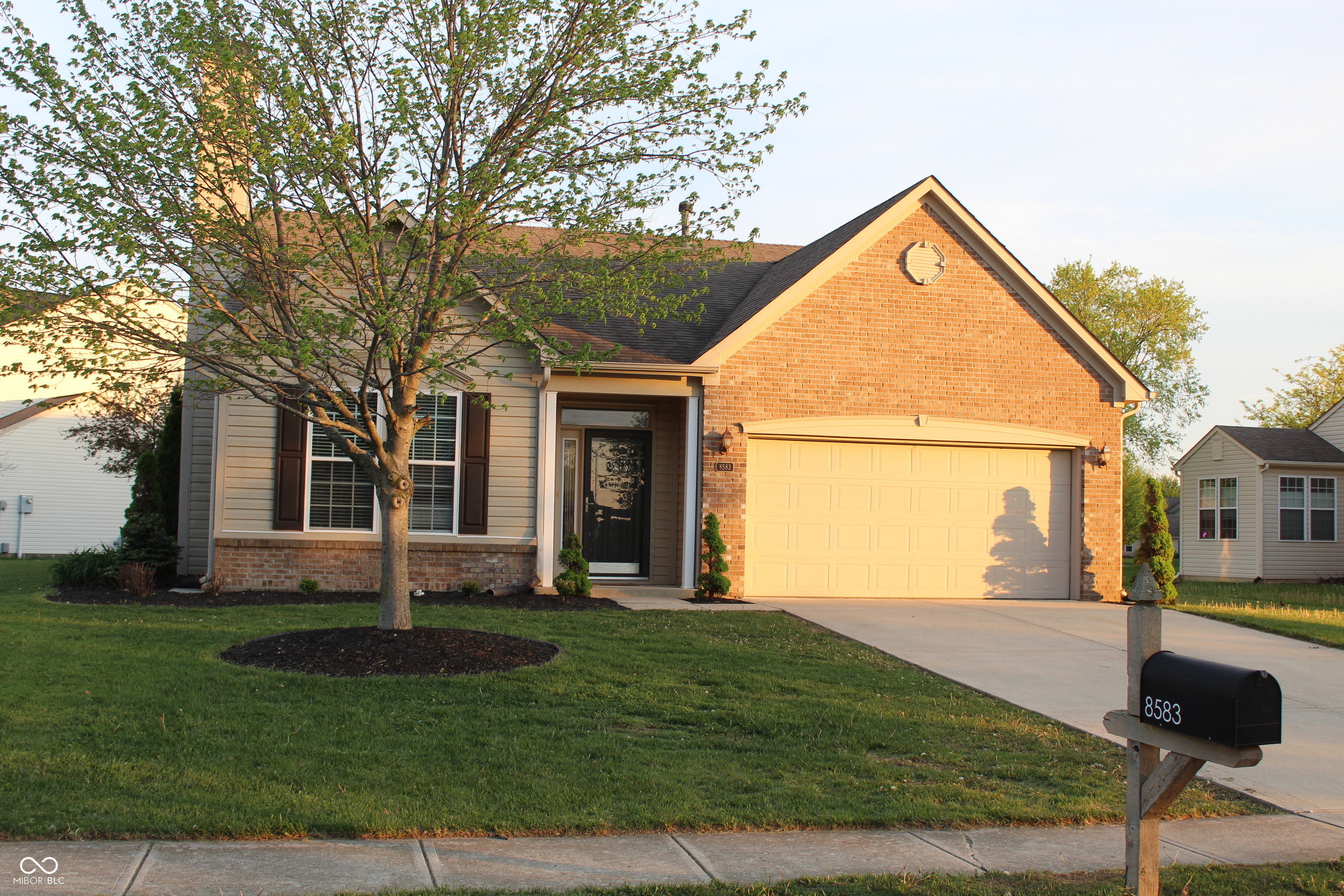 8583 Frosty Rose Drive — photo