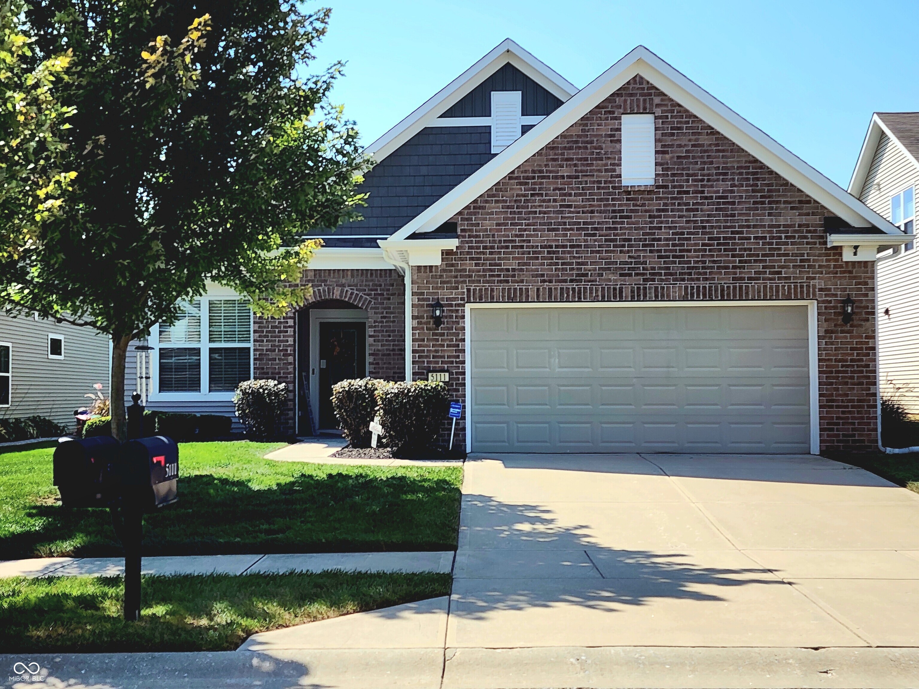 5111 Silverbell — photo