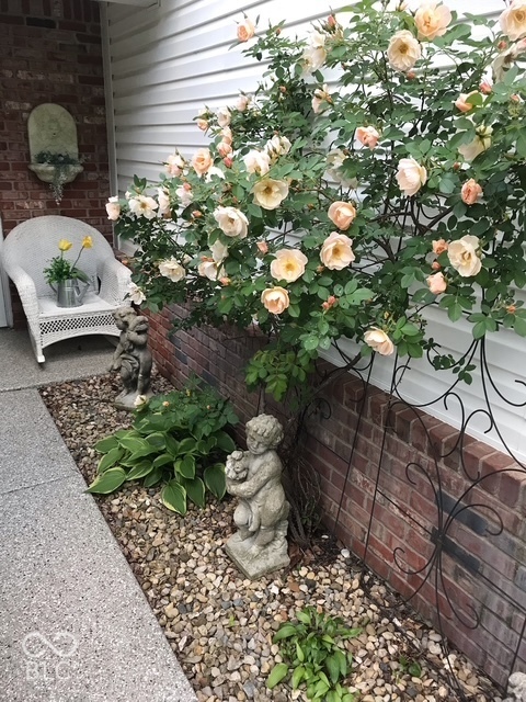 6037 Riva Ridge Drive, Indianapolis, IN 46237 — photo 3