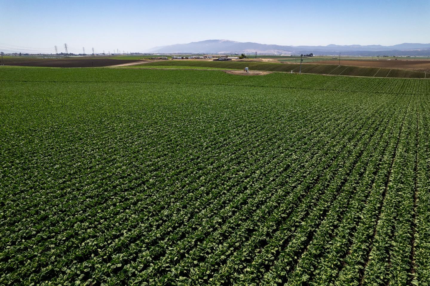 Home in SALINAS, CA 93907 — photo 3