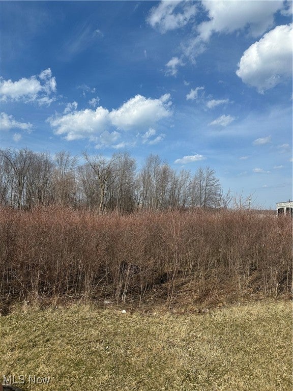 V/L Lost Nation Road — photo