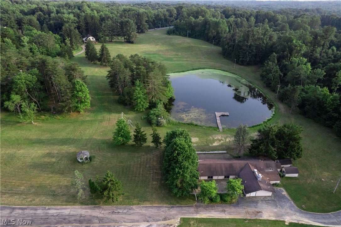 10036 Wilson Mills Road — photo