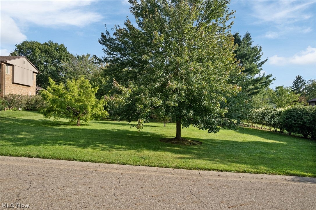 2317 Raintree Street NE — photo