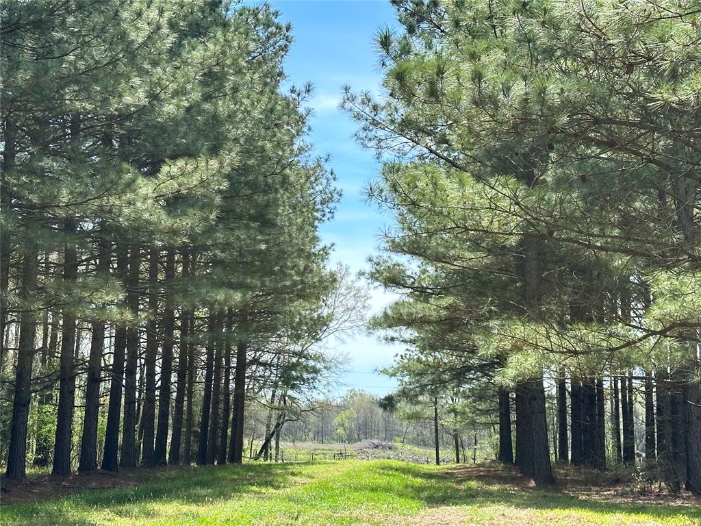 2621 Goodwater Road — photo