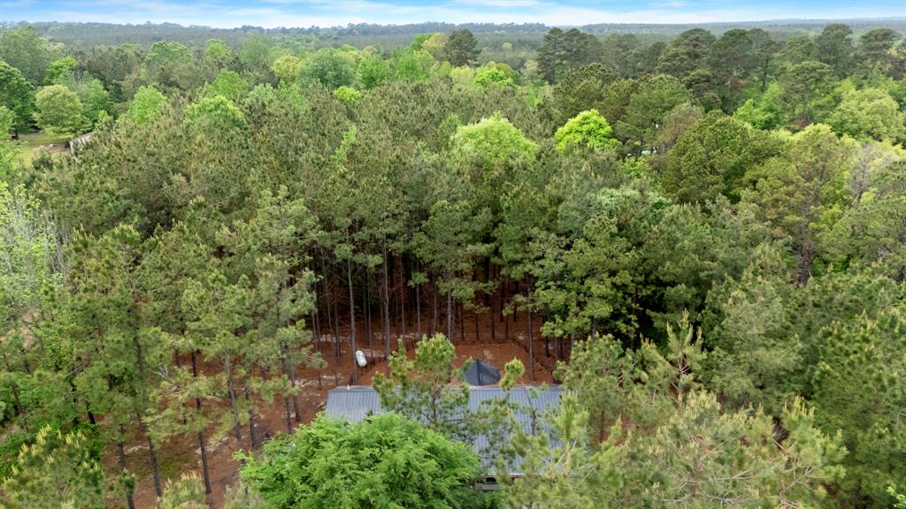 8 Tigerfish Loop, Broken Bow, OK 74728 — photo 3